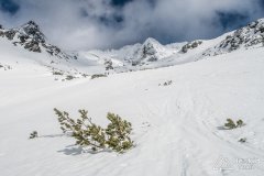 IMG_3255