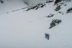 IMG_3291