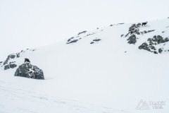 IMG_3303