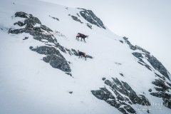 IMG_3312
