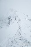 IMG_3336-2