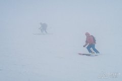 IMG_3341