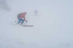IMG_3342