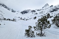 IMG_3356-1
