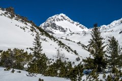 IMG_3587