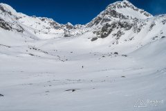 IMG_3594