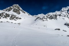 IMG_3611