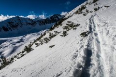 IMG_3741