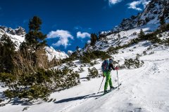 IMG_3860