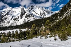 IMG_3861