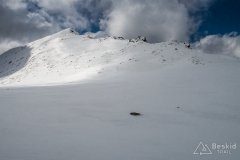 IMG_3893