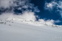 IMG_3894