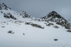 IMG_3930
