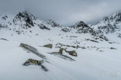 IMG_3932