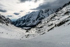 IMG_3947