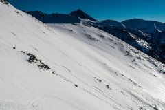 IMG_5920