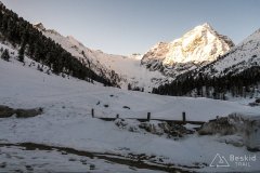 IMG_6342