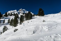 IMG_6343