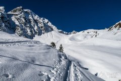IMG_6346