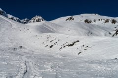 IMG_6347