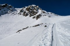 IMG_6355