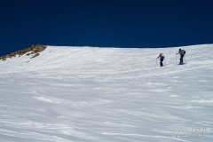 IMG_6356