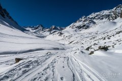 IMG_6417