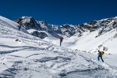 IMG_6419