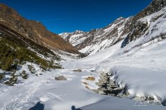 IMG_6499