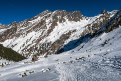 IMG_6503