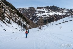 IMG_6516