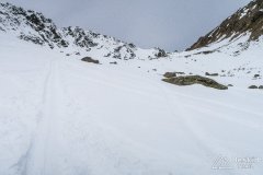IMG_6525