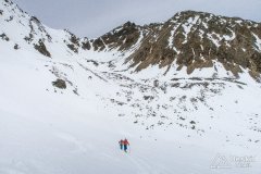 IMG_6531