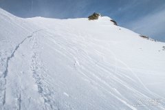 IMG_6537
