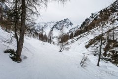 IMG_6581