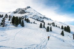 IMG_6584