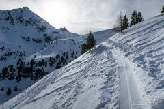 IMG_6587