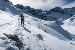 IMG_6595