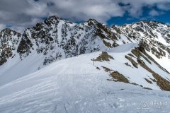 IMG_6650