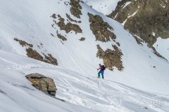 IMG_6651