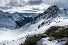 IMG_6659