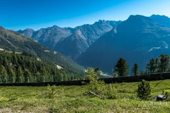 IMG_6912