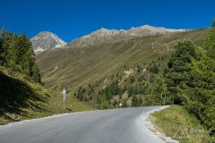 IMG_6913