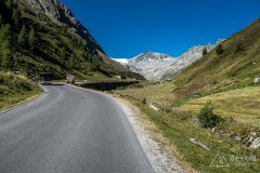 IMG_6915