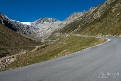 IMG_6916