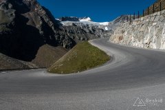 IMG_6917
