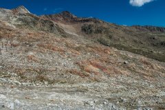 IMG_6934