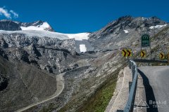 IMG_6950