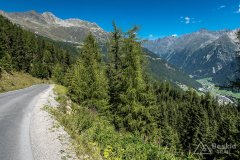 IMG_6952