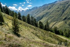 IMG_6953